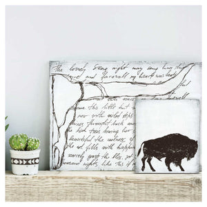 IOD Decor Transfer Desperado