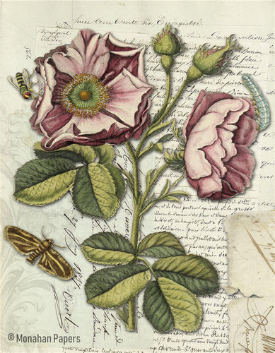 Monahan Botanical Wild Rose Decoupage papers 11