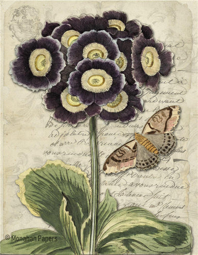 Monahan Botanical Primula Decoupage papers 11